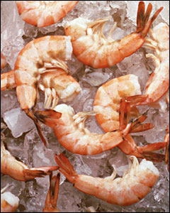 Shrimp