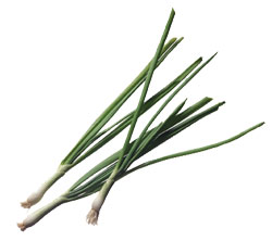 Green Onions